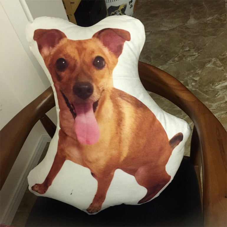 Customize Irregular Pillow Pet Pillow - lotsofthingshere