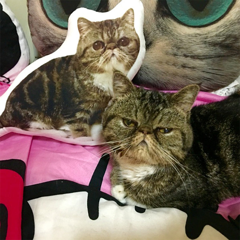 Customize Irregular Pillow Pet Pillow - lotsofthingshere
